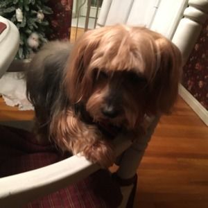 Meet your Posher, Terry